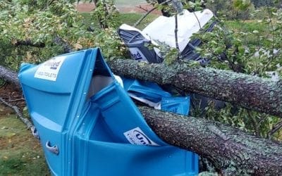 Storm brings both needed rain and unneeded wind damage