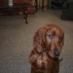 rudy-flirt | Quincy News About Quincy Massachusetts