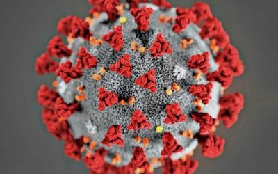 Quincy COVID-19 Infection Rates continue to increase