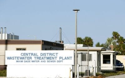 Testing Number Two to predict Miami’s COVID-19 trends – So far it has been a messy process