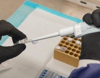 Quincy COVID-19 cases plateauing?