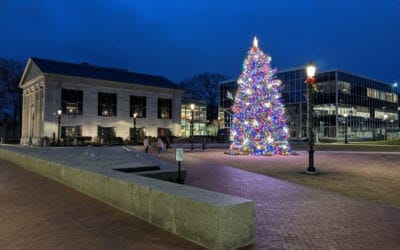 Slow taking down your holiday decorations this year? Not to worry, Quincy’s City Hall is also dogging it