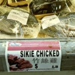 sikie-chicked-2 | Quincy News About Quincy Massachusetts