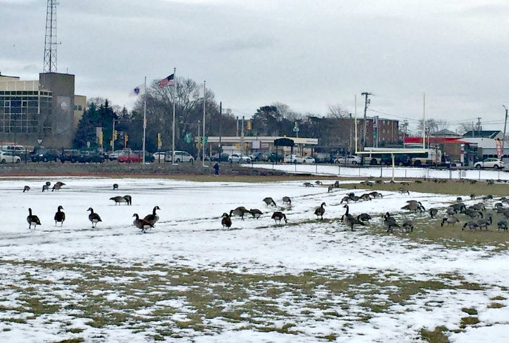 Quincy High Track Illegally Dumped on by Undocumented Aliens?
