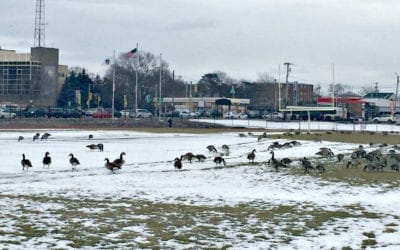 Quincy High Track Illegally Dumped on by Undocumented Aliens?