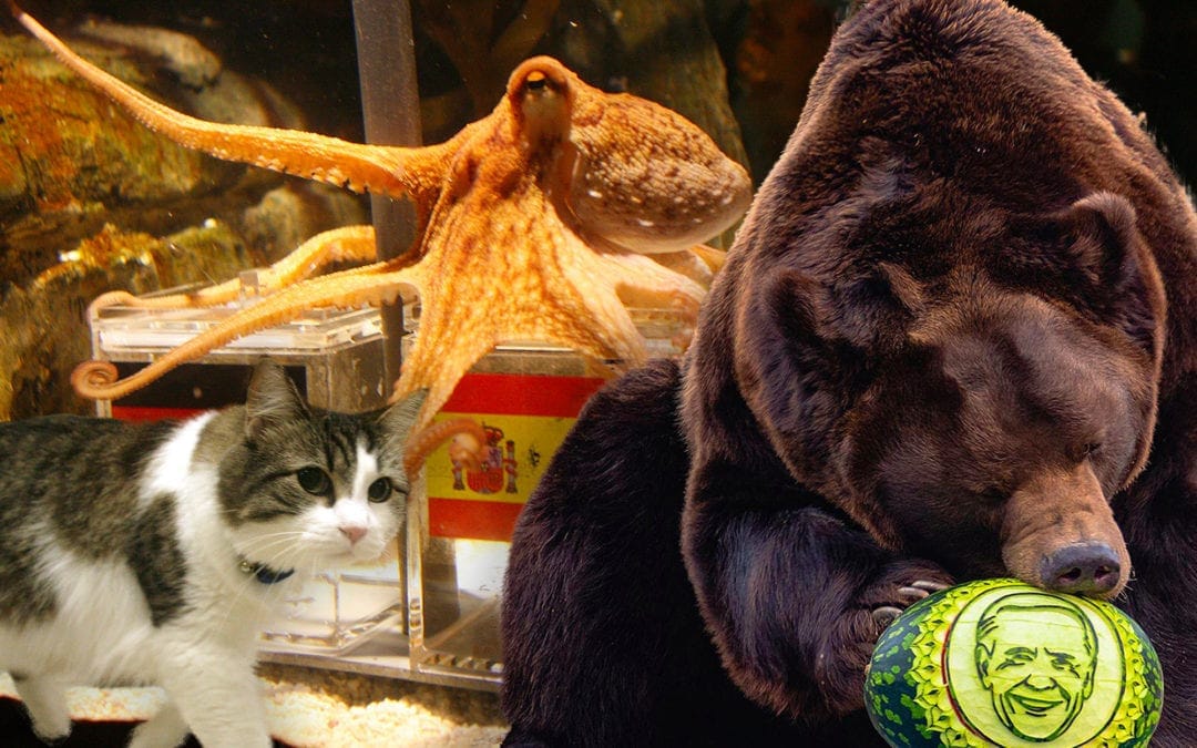 Animal Prognosticators for Super Bowl LV Winner