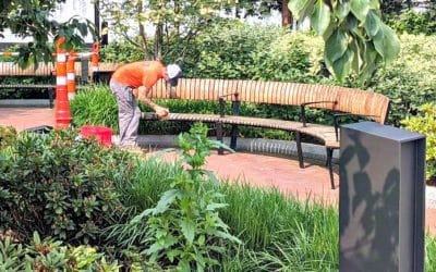 Quincy Kim Jong Koch Plaza maintenance efforts unarguably cross over to Obsessive-Compulsive, Part II