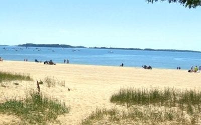 Quincy’s Wollaston Beach’s water does not make the grade
