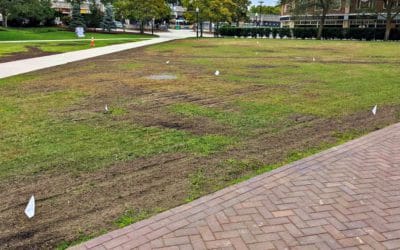 Quincy’s Snow Team Six seeds rather than sods