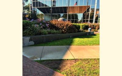 Quincy Center Sod Sodded Yet Again