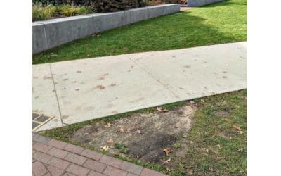 Quincy City Hall Sod Still MIA