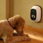 75b74e9d-c428-48e2-80a1-973d4c0b1871-large16x9_vlcsnap2021111720h03m19s676 | Quincy News About Quincy Massachusetts