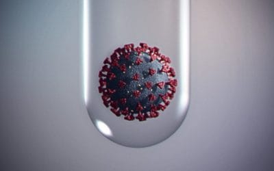 Quincy Kindergartners Quarantined After COVID-19 Outbreak Latest Local Public Schools Crisis