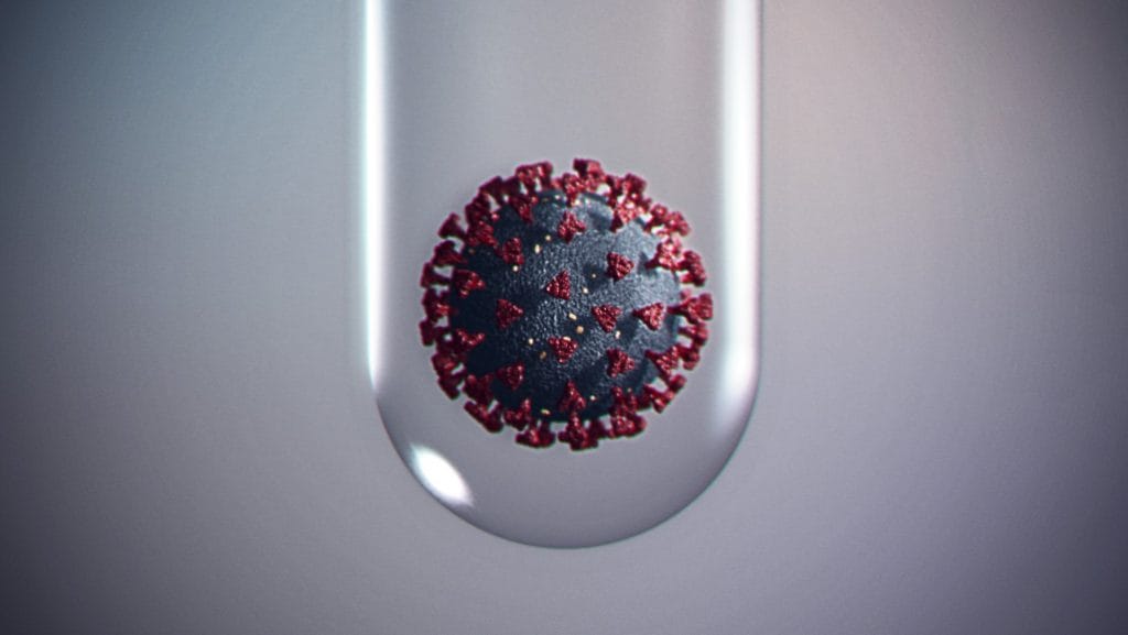 Quincy Kindergartners Quarantined After COVID-19 Outbreak Latest Local Public Schools Crisis