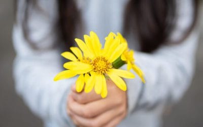 World Kindness Day is Coming!