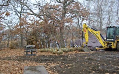 Quincy Tree Farm at Merrymount Park Mystery Solved!