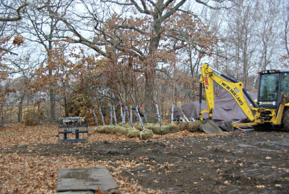 Quincy News Quincy Tree Farm at Merrymount Park Mystery Solved!