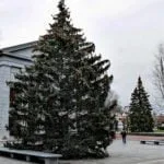 The City of Quincy has at least five Christmas trees Quincy-Christmas-trees-2