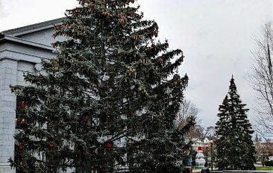 The City of Quincy has at least five Christmas trees