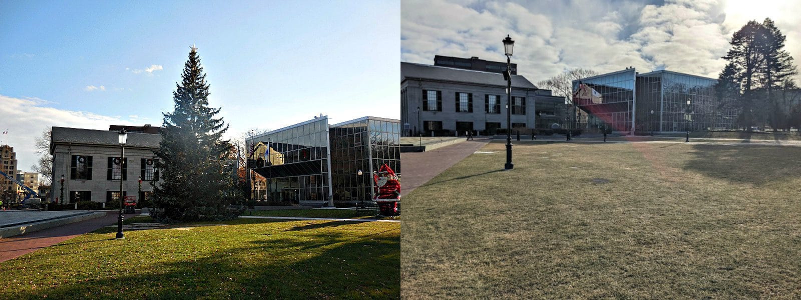Quincy City Halls Christmas Trees Chainsaw Massacre Quincy Quarry