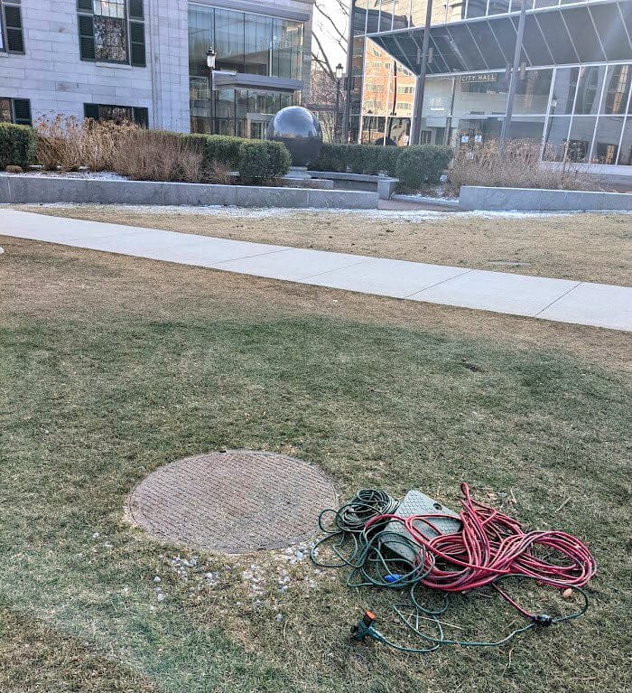 Quincy City Halls Christmas Trees Chainsaw Massacre Quincy Quarry