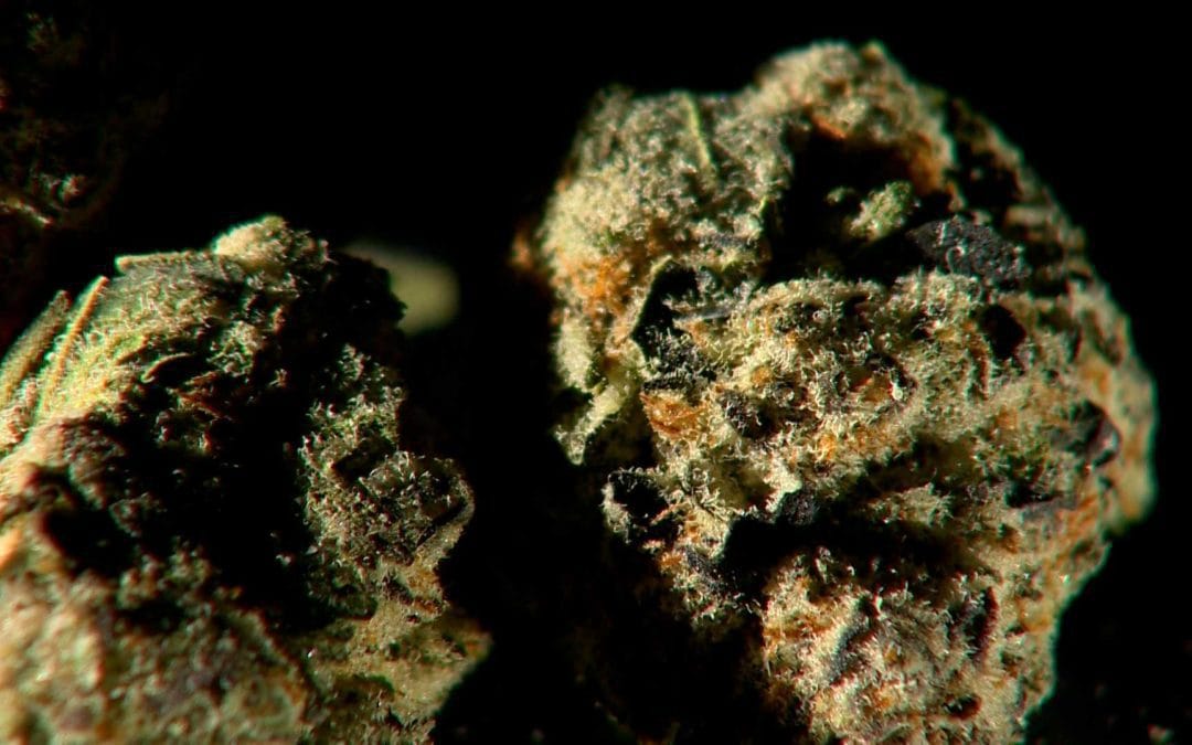 Massachusetts marijuana excise tax revenue exceeds alcohol excise tax for first time