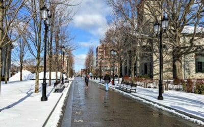 Quincy Center post ice storm Snow Jobs