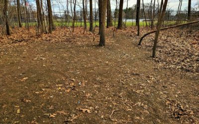 Quincy Quarry News yet again gets results? – Part 2