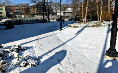 Quincy City Hall Snow Team Six Fail