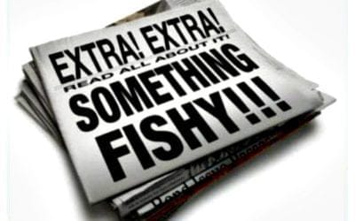 Quincy Quarry exposés City of Quincy e-security lapses