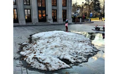 City Hall Snow Piles provides last snow pile for playtime this winter