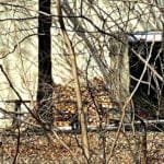 wood-pile-5 | Quincy News About Quincy Massachusetts