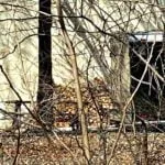 wood-pile-5