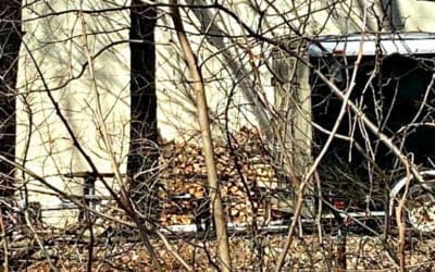 Quincy Quarry exposés Department of Natural Resources behind its woodpile