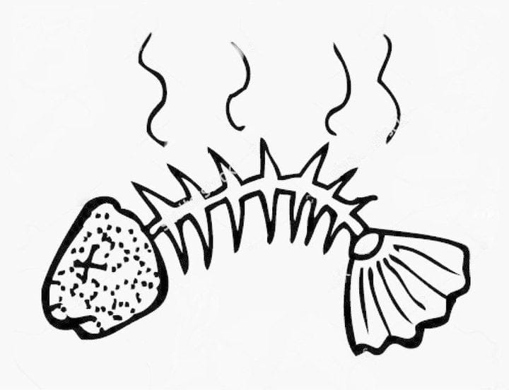 Quincy Quarry News Weekly Fish Wrap: Mayor Koch folds like a cheap suit after first stepping into “it” #abigailadams, #johnadams, #johnquincyadams, #quincymayortomkoch