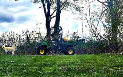 Quincy Department of Natural Resources employee goldbricking or on a Koch break?