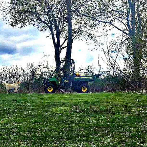 Quincy Department of Natural Resources employee goldbricking or on a Koch break?