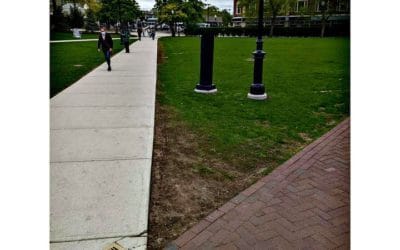 Quincy City Hall lawn reseeding fail and is sodding now next? #kimjongkochplaza #mayorkoch #cityofquincy