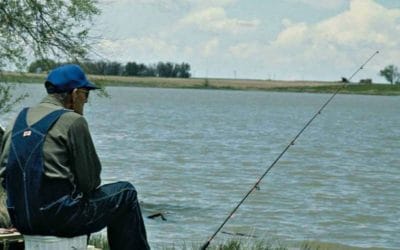 Quincy Quarry News Weekly Fish Wrap: It has been a tough week for doughnut fans. #donuts #doughnuts