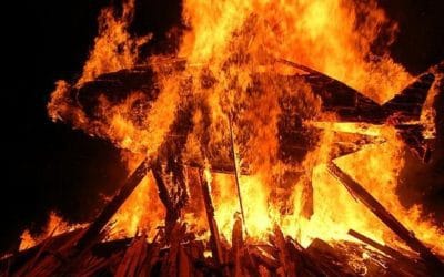 Quincy Quarry News Weekly Fish Wrap: Dogs, Dollars And Fires Oh My!