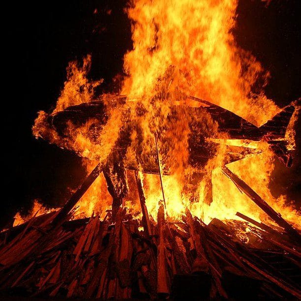 Quincy Quarry News Weekly Fish Wrap: Dogs, Dollars And Fires Oh My!