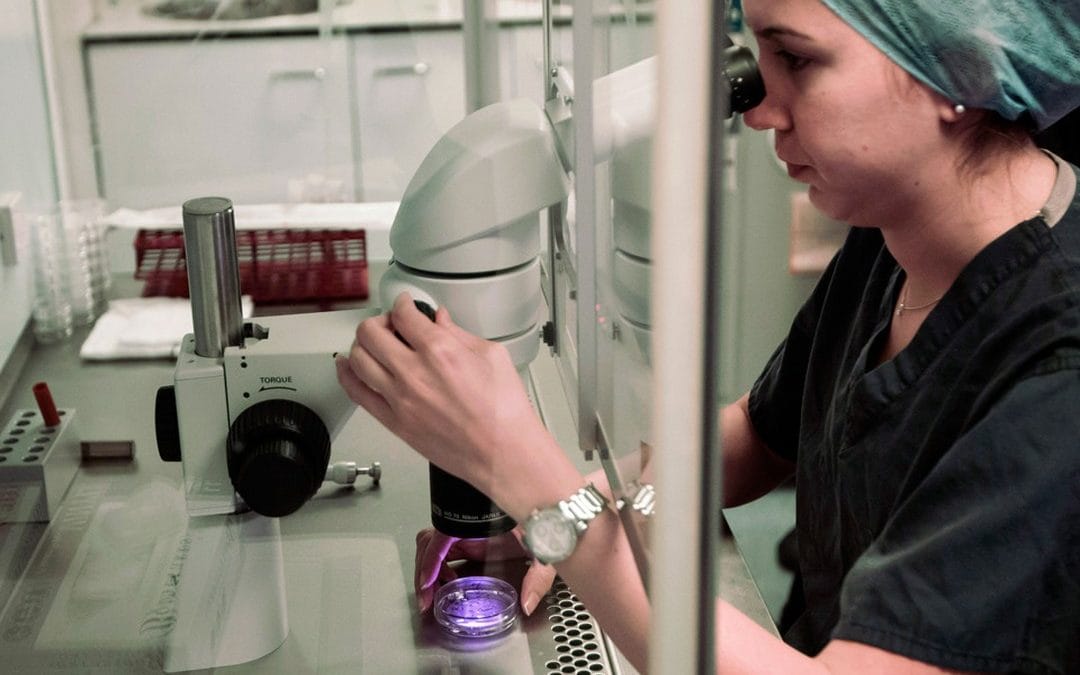 Will Big Pharma become Savior of Boston Lab Real Estate Development as Biotech pulls back?