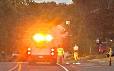 City of Quincy workers weeding rather than watering new trees under cover of darkness