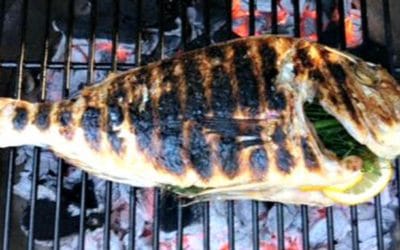 Quincy Quarry News Weekly Fish Wrap: Burn Baby Burn! #mayorkoch #mbta