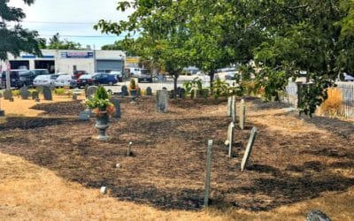 Quincy Center hit by second suspected arson fire in two weeks #quincyfiredepartment #mayorkoch #quincypolicedepartment