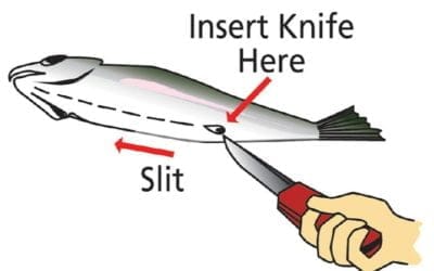 Quincy Quarry News Weekly Fish Wrap: Bait and switch by the MBTA and a Kochster koch-blocked! #mbta #mayorkoch #charliebaker