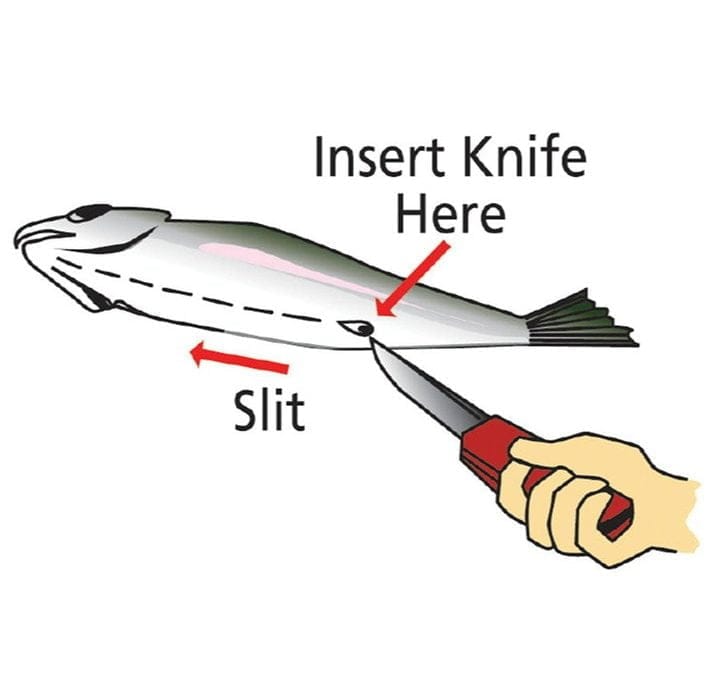 Quincy Quarry News Weekly Fish Wrap: Bait and switch by the MBTA and a Kochster koch-blocked! #mbta #mayorkoch #charliebaker