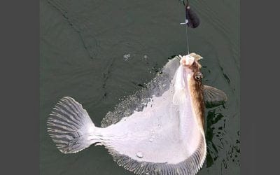 Quincy Quarry News Weekly Fish Wrap: Only word about the now even slower running Orange Line is slower to be shared than