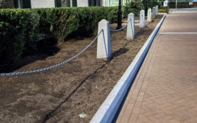 Quincy City Hall landscaping torn out and replaced with cheap annuals #mayorkoch