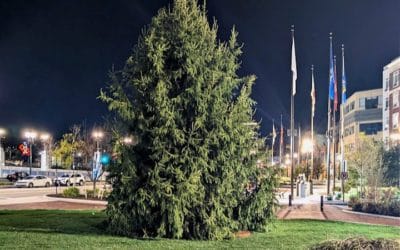 Is the City of Quincy featuring out of state Christmas trees in Quincy Center this year? #mayorkoch #santaclaus